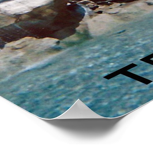 Trevi Fountain Rom Poster (Ecke)