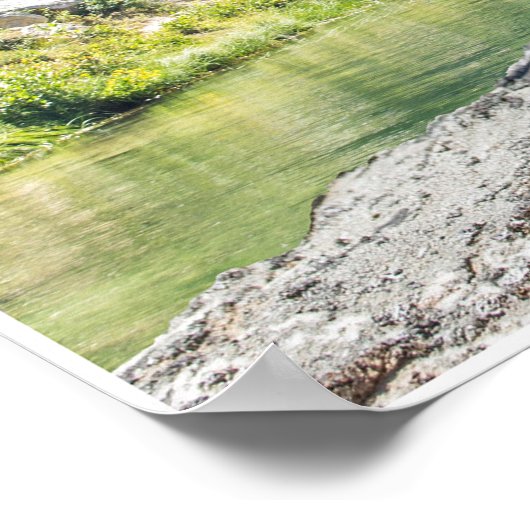 TRex auf der Lose Poster (Ecke)