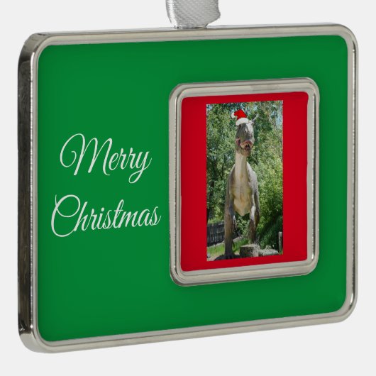 TREX Dinosaurier mit einem Santa Claus-Hut Rahmen-Ornament Silber (Rechts)