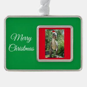 TREX Dinosaurier mit einem Santa Claus-Hut Rahmen-Ornament Silber