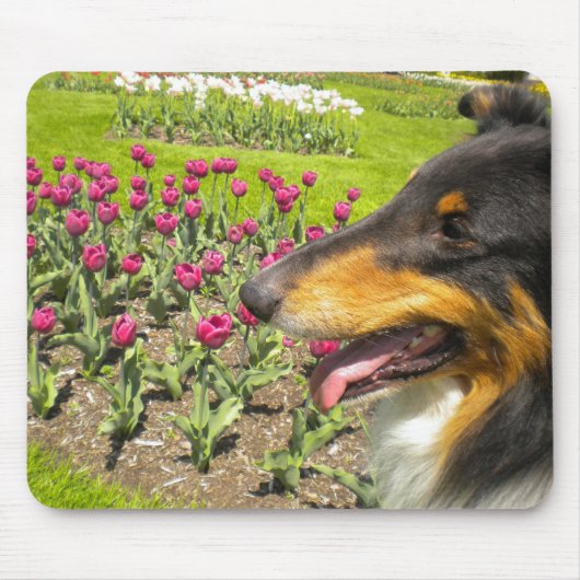 Tri Collie N. Tulips Mouse Pad Mousepad (Vorne)