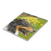 Tri Collie N. Tulips Tile Trivet Fliese (Seite)