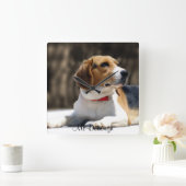 Tri-Color Beagle Quadratische Wanduhr (Zuhause)