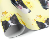 Tri Color Border Collie ist ein Star Geschenkpapier (Rolleneckpunkt)