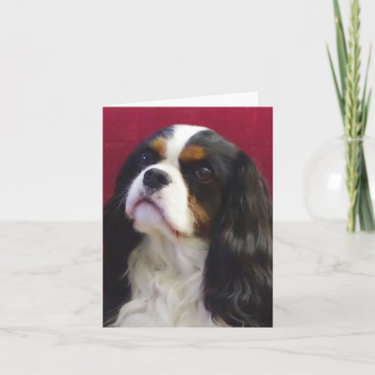 Tri-Color Cavalier King Charles Blank Note Card Karte (Vorderseite)