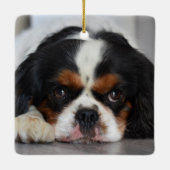 Tri Color Cavalier King Charles Dog Keramikornament (Rückseite)