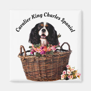 Tri Color Cavalier King Charles Spaniel Dog Magnet