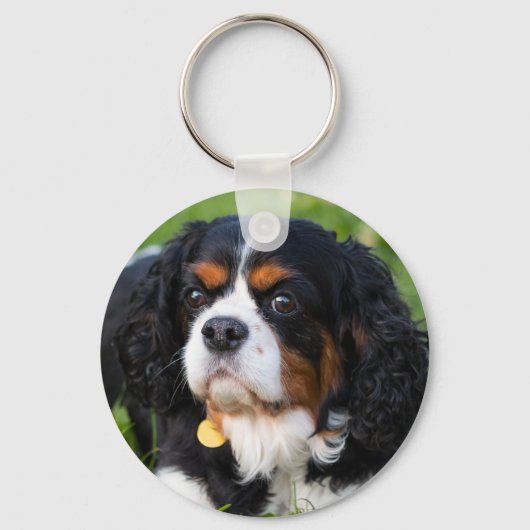 Tri Color Cavalier King Charles Spaniel Dog Schlüsselanhänger (Vorderseite)