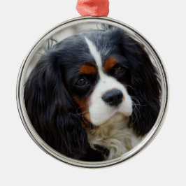 Tri Color Cavalier King Charles Spaniel Keramik od Ornament Aus Metall