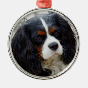 Tri Color Cavalier King Charles Spaniel Keramik od Ornament Aus Metall