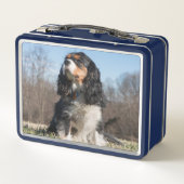 Tri Color Cavalier King Charles Spaniel Metall Brotdose (Rückseite)