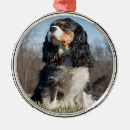 Tri Color Cavalier King Charles Spaniel Ornament Aus Metall