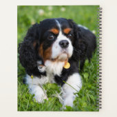 Tri Color Cavalier King Charles Spaniel Puppy Dog Planer (Rückseite)