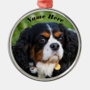 Tri Color Cavalier König Charles Spaniel Hund Ornament Aus Metall