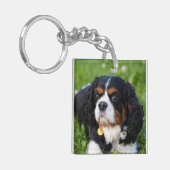 Tri Color Cavalier König Charles Spaniel Hund Schlüsselanhänger (Vorderseite links)