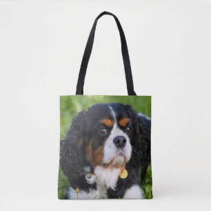 Tri Color Cavalier König Charles Spaniel Hund Tasche