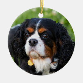 Tri Color Cavalier König Charles Spanier Keramik Ornament