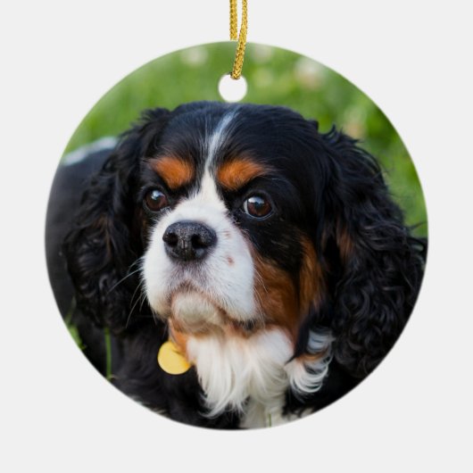 Tri Color Cavalier König Charles Spanier Keramik Ornament (Vorne)