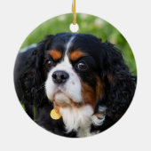 Tri Color Cavalier König Charles Spanier Keramik Ornament (Hinten)