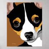 Tri Color chihuahua Poster (Vorne)