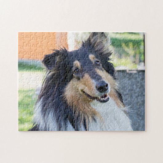 Tri Color Collie Puppy Dog Puzzle (Horizontal)