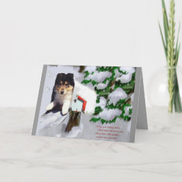 Tri-Color Collie Welpe Weihnachtsgeschenke Feiertagskarte