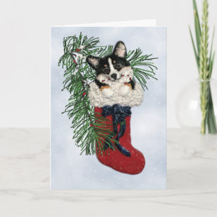 Tri-Color Corgi in Christmas Strumpf Card Feiertagskarte