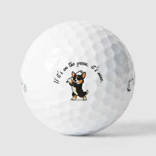 Tri-Color Corgi: "Wenn es auf dem Grün ist, ist es Golfball