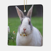 Tri Color Dutch Dwarf Mini Bunny Rabbit Keramikornament (Links)