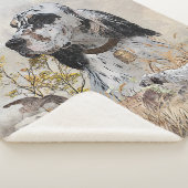 Tri Color English Setter Art, Holcock Jagen Sherpadecke (3/4)