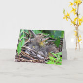 Tri Color Heron Chick Karte (Gelbe Blume)