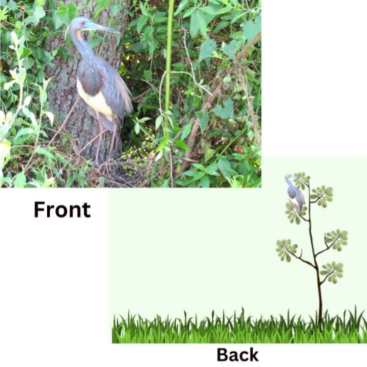 Tri-Color Heron Gebäude a Nest