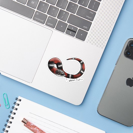 Tri-color Hognose sticker (Laptop mit iPhone)