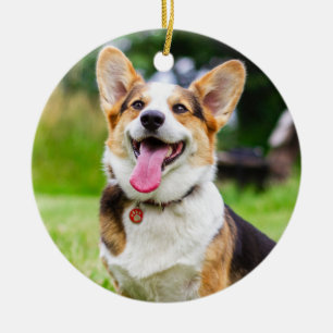 Tri Color Pembroke Welsh Corgi Welpe Hund Keramik Ornament