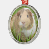 Tri Color Pet Guinea Pig Ornament Aus Metall (Links)