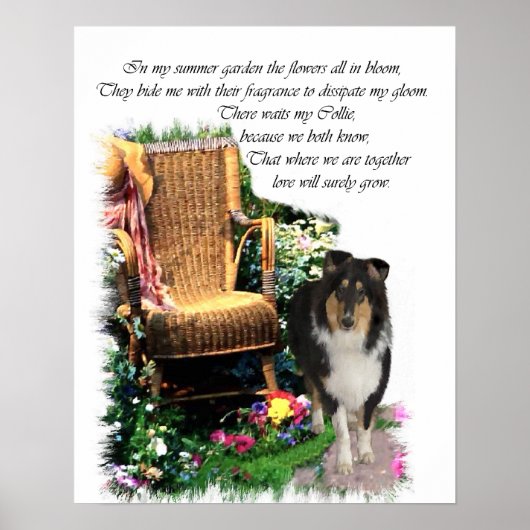 Tri Color Rough Collie Art Print Poster (Vorne)