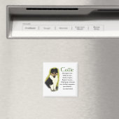 Tri Color Rough Collie Geschenke Magnet (In Situ (Geschirrspüler))