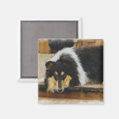 Tri Color Rough Collie Gönnt Kunst Magnet (Vorderseite/Rückseite)