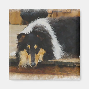 Tri Color Rough Collie Gönnt Kunst Magnet
