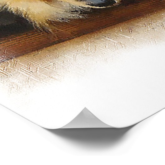 Tri Color Rough Collie Gönnt Kunst Poster (Ecke)