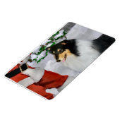 Tri Color Rough Collie mit Weihnachten Magnet (Linke Seite)