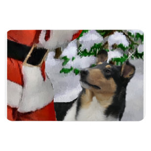 Tri Color Smooth Collie mit Weihnachten Magnet