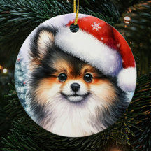 Tri Color Spitz Watercolor Weihnachten