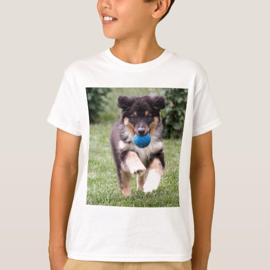Tri Colored Australian Shepherd Pup T-Shirt (Vorderseite)