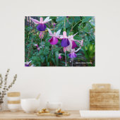 Tri-Colored Bells Poster (Küche)