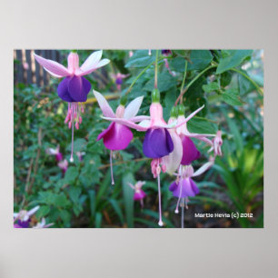 Tri-Colored Bells Poster