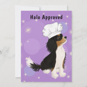 Tri Colored Cavalier in Koch Dankeskarte