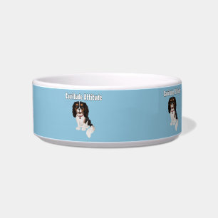 Tri-Colored Cavalier King Charles Spaniel Napf