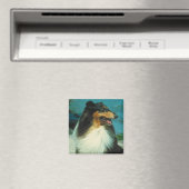 Tri-Colored Collie Rough Coat Magnet (In Situ (Geschirrspüler))