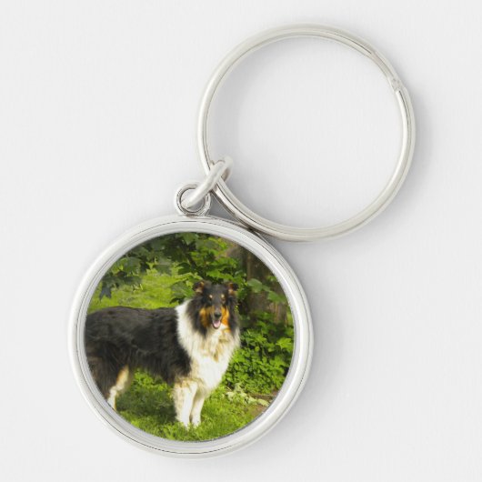 Tri Farbcollie Schlüsselanhänger (Vorne)